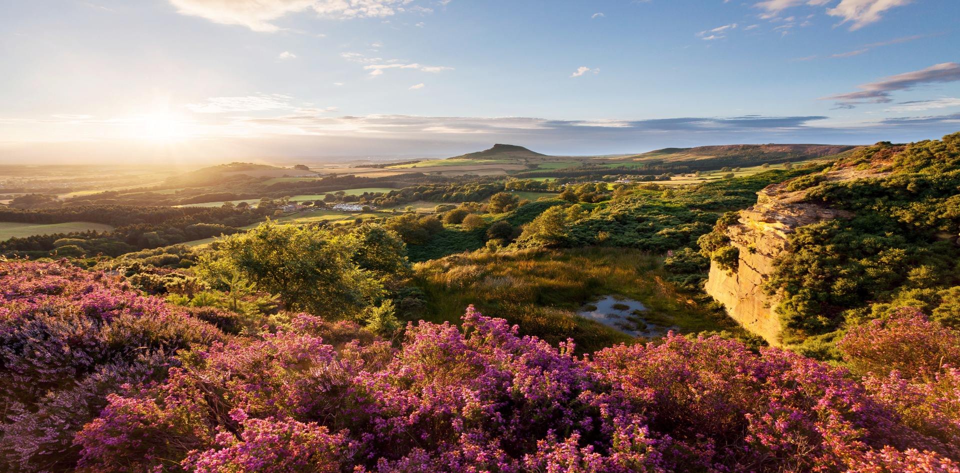 Summer Seaside, Market and Moors